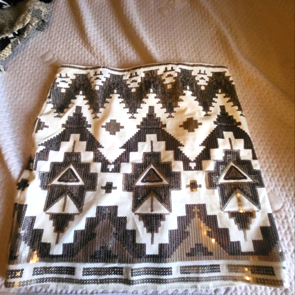 Express skirt